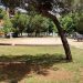 Το Άλσος της εγκατάλειψης